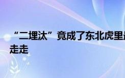 “二埋汰”竟成了东北虎里最红的仔！网友喊它上中央大街走走