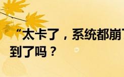 “太卡了，系统都崩了”，龙年纪念币，你抢到了吗？