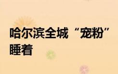 哈尔滨全城“宠粉”，搓澡师傅累到坐凳子上睡着