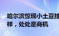 哈尔滨惊现小土豆挂件，网友：1天1个新花样，处处是商机