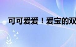 可可爱爱！爱宝的双胞胎宝宝公开亮相啦