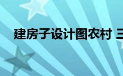 建房子设计图农村 三层（建房子设计图）