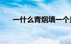 一什么青烟填一个量词（一什么青烟）