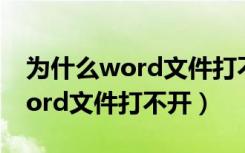 为什么word文件打不开也关不了（为什么word文件打不开）