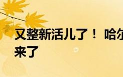 又整新活儿了！ 哈尔滨冻梨不光摆盘还雕出来了