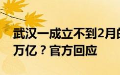武汉一成立不到2月的公司注册资本高达153万亿？官方回应