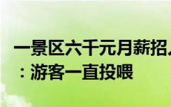 一景区六千元月薪招人扮孙悟空吃东西，景区：游客一直投喂