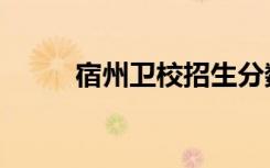 宿州卫校招生分数线（宿州卫校）