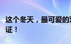 这个冬天，最可爱的双向奔赴由“砂糖橘”见证！