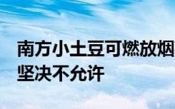 南方小土豆可燃放烟花？哈尔滨警方：严查，坚决不允许