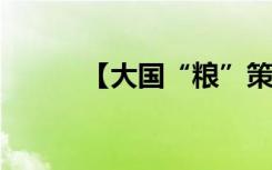 【大国“粮”策】守护粮食安全