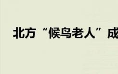 北方“候鸟老人”成群结队“飞”往海南