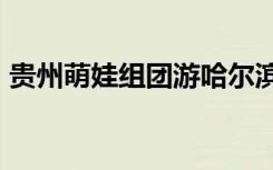 贵州萌娃组团游哈尔滨，被送外号“小茅台”