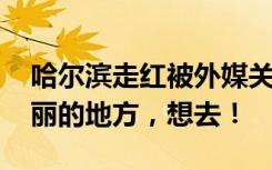 哈尔滨走红被外媒关注 多国网友：神奇而美丽的地方，想去！