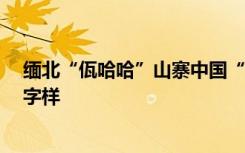 缅北“佤哈哈”山寨中国“娃哈哈”，还印有“佤健山泉”字样