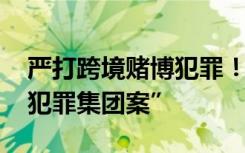 严打跨境赌博犯罪！ 起底“周焯华跨境赌博犯罪集团案”
