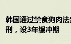 韩国通过禁食狗肉法案：以食用目的宰杀将获刑，设3年缓冲期