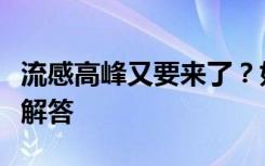 流感高峰又要来了？如何应对乙流来袭？医生解答