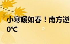 小寒暖如春！南方逆向升温，看哪里将冲击20℃