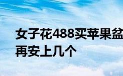 女子花488买苹果盆栽竟是假的 网友：吃完再安上几个
