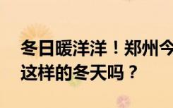冬日暖洋洋！郑州今日最高温16℃！你喜欢这样的冬天吗？