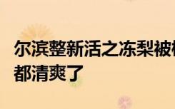 尔滨整新活之冻梨被榨成汁了：喝下去整个人都清爽了
