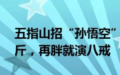 五指山招“孙悟空”吃东西？猴哥：重了30斤，再胖就演八戒