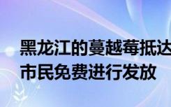 黑龙江的蔓越莓抵达广西南宁 在多个地点向市民免费进行发放