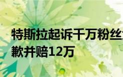 特斯拉起诉千万粉丝大V侵权案胜诉，对方道歉并赔12万