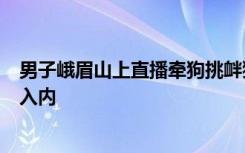 男子峨眉山上直播牵狗挑衅猴子？景区：按规定不能带宠物入内