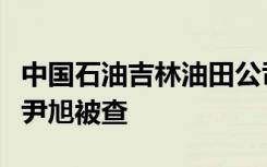 中国石油吉林油田公司原副总经理、安全总监尹旭被查
