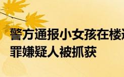 警方通报小女孩在楼道被陌生人强行抱走：犯罪嫌疑人被抓获