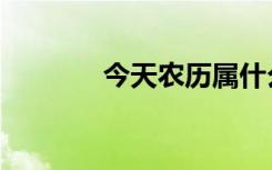 今天农历属什么（今天农历）
