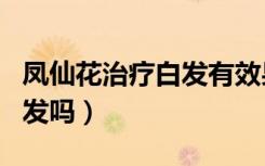 凤仙花治疗白发有效果吗（喝凤仙花可以治白发吗）