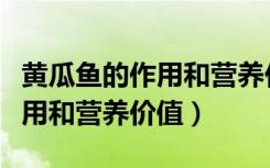 黄瓜鱼的作用和营养价值与功效（黄瓜鱼的作用和营养价值）