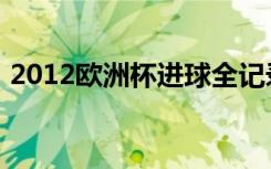 2012欧洲杯进球全记录（2012欧洲杯进球）