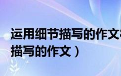 运用细节描写的作文800字记叙文（运用细节描写的作文）