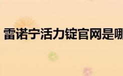 雷诺宁活力锭官网是哪一个（雷诺宁活力锭）