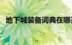 地下城装备词典在哪买（地下城装备词典）