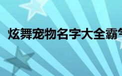 炫舞宠物名字大全霸气（qq炫舞宠物名称）