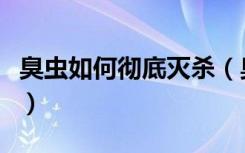 臭虫如何彻底灭杀（臭虫怎样才能彻底的灭杀）