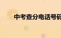 中考查分电话号码（中考查分电话）