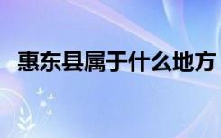 惠东县属于什么地方（惠东县属于什么市）