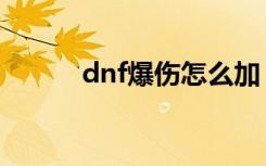 dnf爆伤怎么加（dnf爆破加点）
