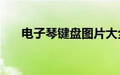 电子琴键盘图片大全（电子琴键盘图）