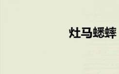 灶马蟋蟀（灶马蟋）