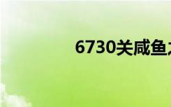 6730关咸鱼之王（6730）