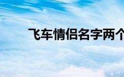 飞车情侣名字两个字（飞车情侣名）