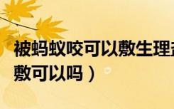 被蚂蚁咬可以敷生理盐水吗（被蚂蚁咬用盐水敷可以吗）