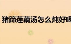 猪蹄莲藕汤怎么炖好喝又营养（猪蹄莲藕汤）